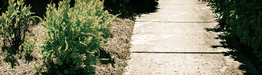 ddos流量攻击购买